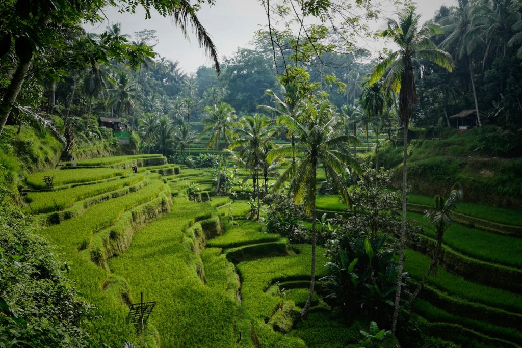 ¿La eSIM ilimitada más barata para Indonesia? Desde 4,95 € por 3 días (octubre de 2026)